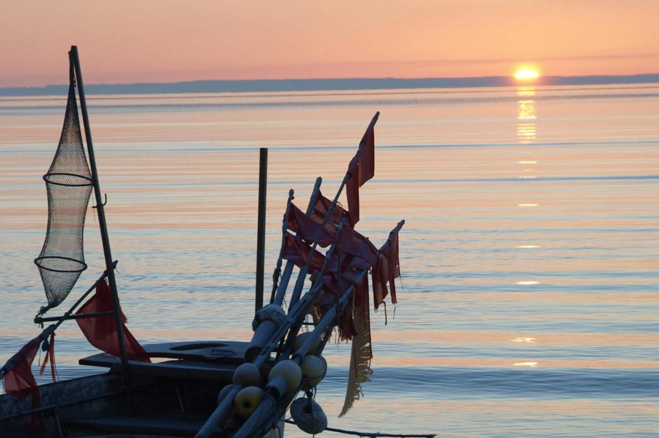 Fewo Seeblick - Familien - Hunde - Strandnah - Ostseeblick - Sauna & Wellness Sierksdorf Exteriör bild